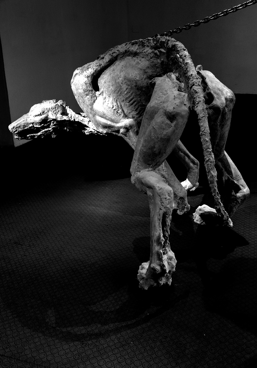 A3_13_42x29.4cm