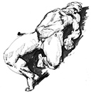 man6