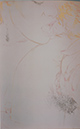 lick copy2