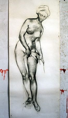 lady