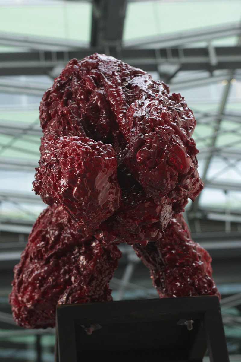 IMG_3347