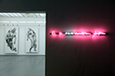 neon_view_levels