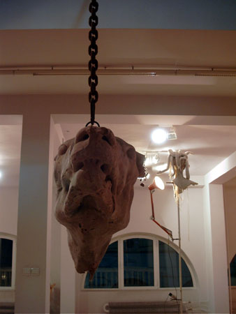 bullhead_gorgona