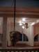 bullhead_gorgona2