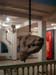 bullhead_gorgona4