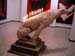 dog_flame11