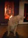 dog_flame5