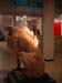 dog_flame9