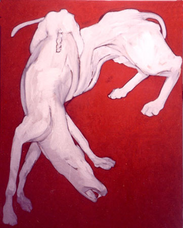 red_white_dogs