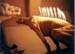 dog_siide_bull