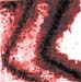 charshaf4_duotone