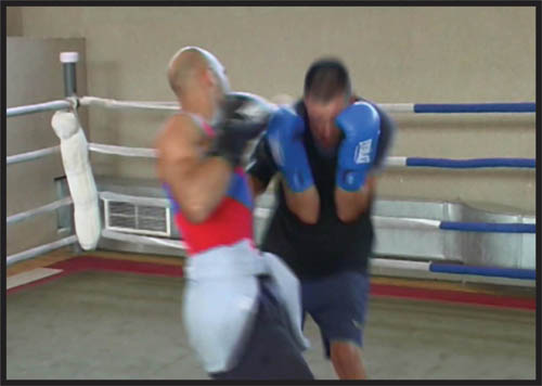 fight