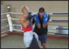 fight