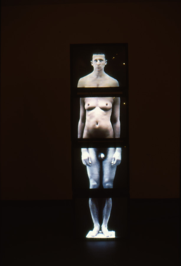 1997_homo_sapience_ifa_berlin