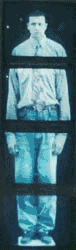 homo_ani.gif (28824 bytes)